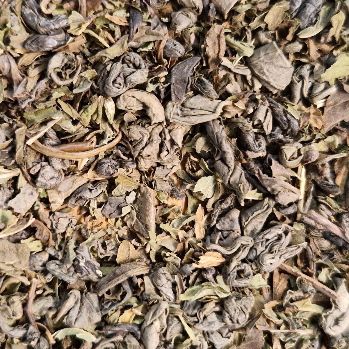 Maroc Mint