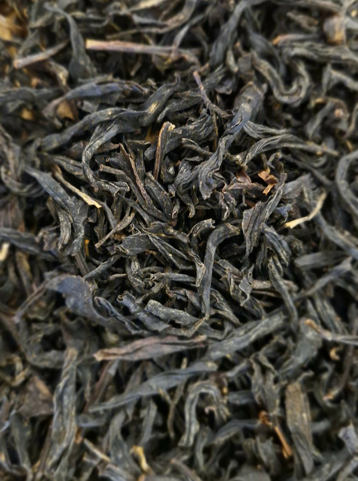 Smooth Jazz Renegade Tea