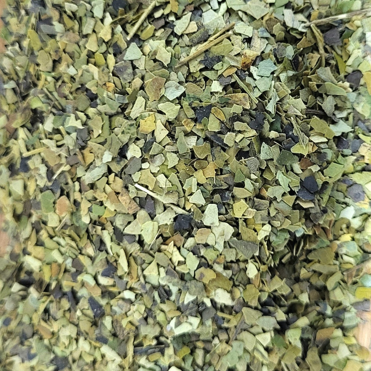Guayusa