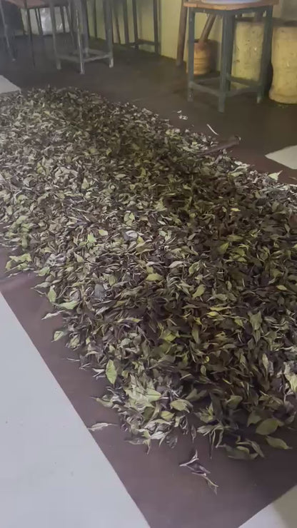 Orange Sunshine Black Tea
