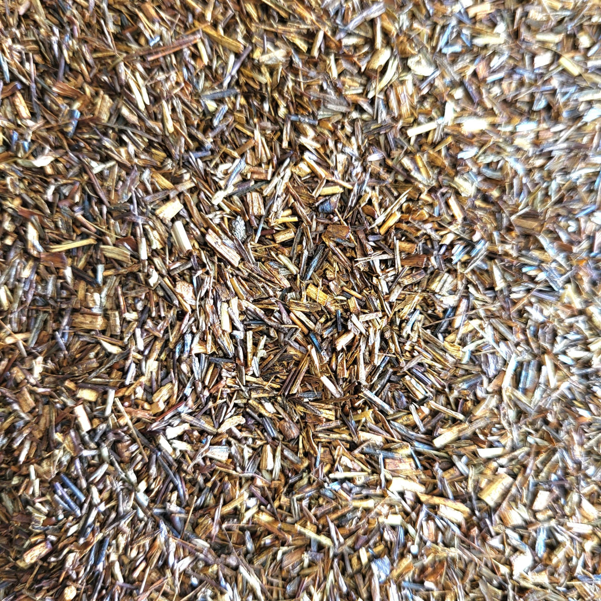 Rooibos Bio